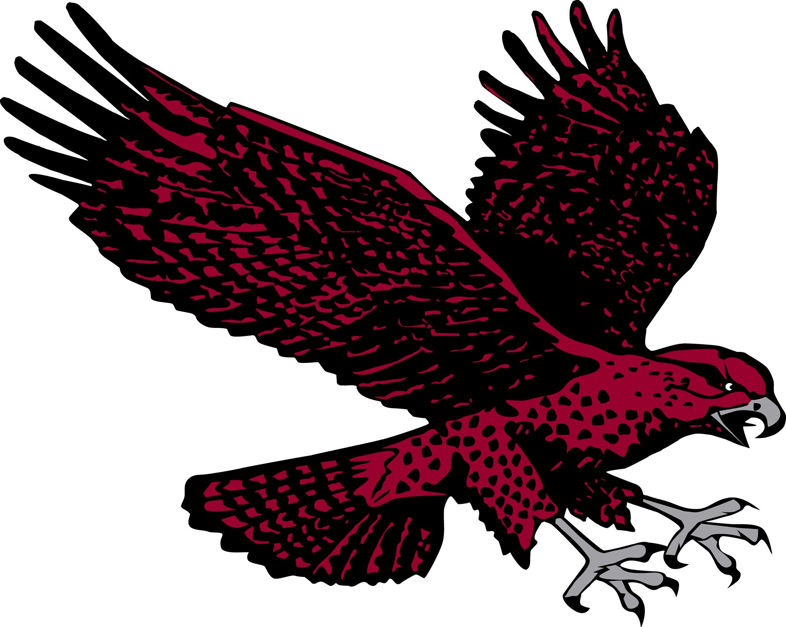 Maryland-Eastern Shore Hawks 2007-Pres Secondary Logo iron on paper